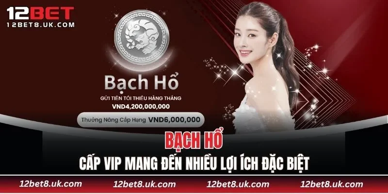 Bạch Hổ - Cấp VIP mang đến nhiều lợi ích đặc biệt