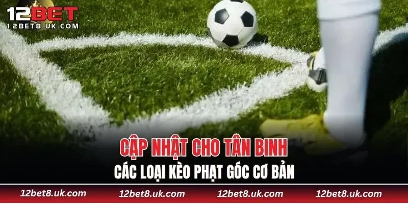Cập nhật cho tân binh các loại kèo phạt góc cơ bản